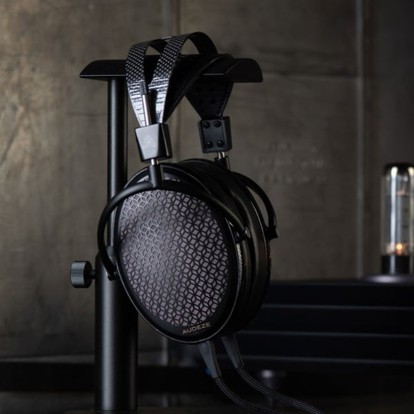 AUDEZE INSIDER NEWS